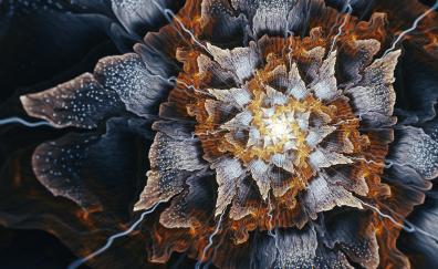 Floral, pattern, fractal, digital art