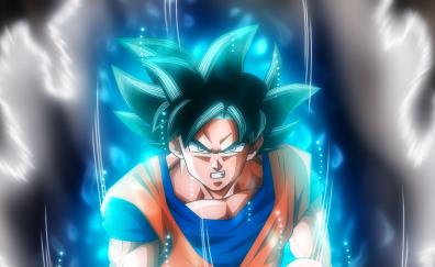 Goku, Ultra Instinct, Dragon ball, artwork