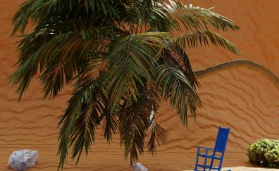 Palm tree and desert, vacation
