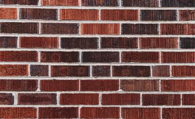 Bricks wall, interior, texture