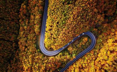 Highway, turn, forest, autumn, aerial view