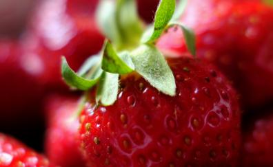 Close up, fresh, red, strawberry