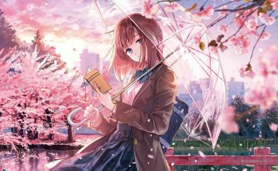 Fun in blossom, anime girl