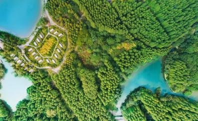 Coast, aerial view, green trees, nature