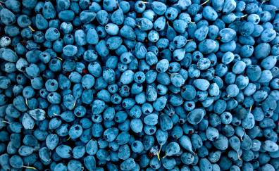 Abundance, fruit, blueberries