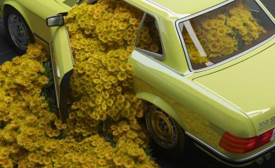 Car and flowers, Mercedes-Benz classic