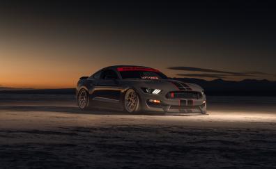 2022 Ford Shelby GT350, sportcar, off-road