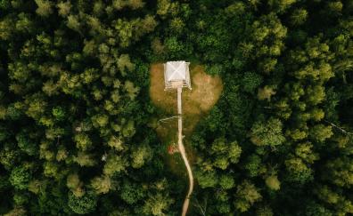 Hut, aerial view, road in forest, green trees