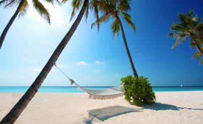 Beach, holiday, summer, palm trees, Island