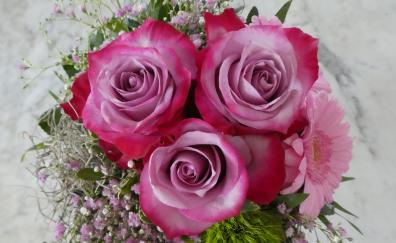 Pink rose, bouquet, flowers