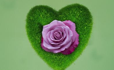 Heart, rose, grass
