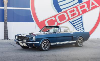 1965 Continuation Shelby GT350, continuation series, convertible