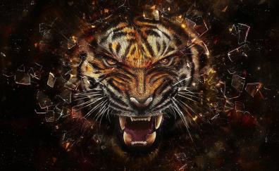 Tiger, muzzle, angry, artwork