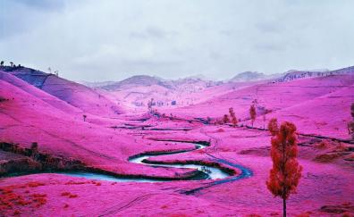 River, valley, pink blossom, landscape