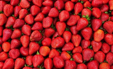 Strawberries, berries, fruit, red