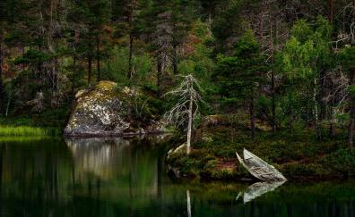 Nature, tree, lake, forest, wreck boat