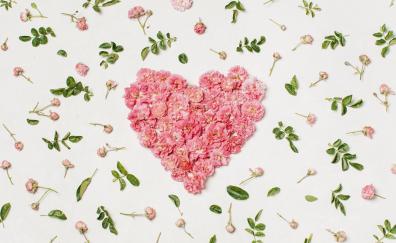 Heart, pink flowers, leaves