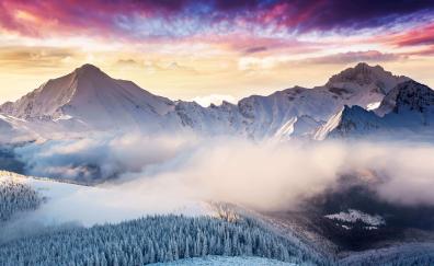 Landscape, mountains, winter, forest, clouds