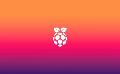 Raspberry PI, logo, minimal