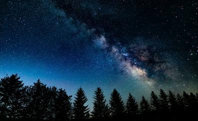 Night in wood, Galaxy, starry sky, nature