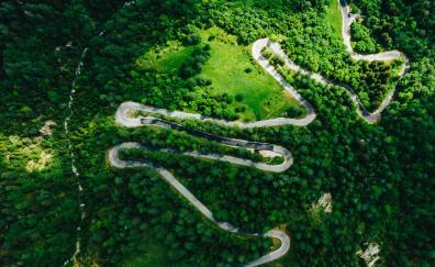 Aerial view, road's turns, highway, green