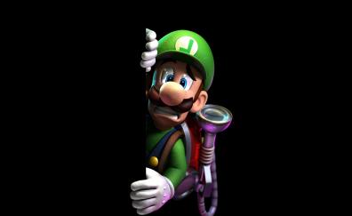Scared Mario Luigi, fan art, video game