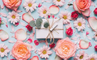 Flowers, roses, petals, gift box