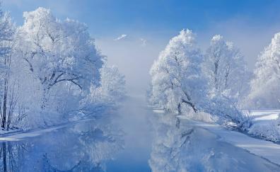 Winter, frozen lake and trees, nature