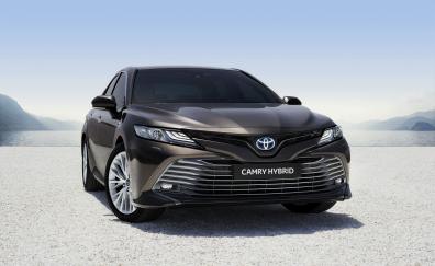 Black car, front, Toyota Camry