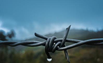 Close up, Barbed wire