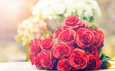 Roses, red, fresh, bouquet
