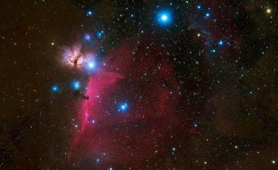 Horsehead, nebula, space, galaxy, stars, universe
