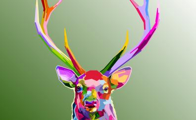 Reindeer, animal, muzzle, horns, colorful art