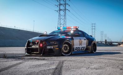 Ford Mustang Police Interceptor, car art