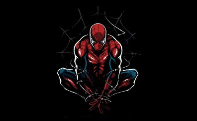 Spider-man, web, minimal