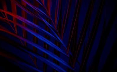 Leaves, blue-red, amoled glow