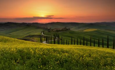 Tuscany, meadow, pathway, sunset