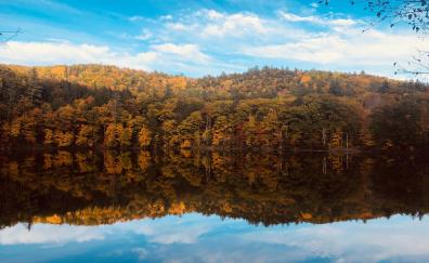 Fall, autumn, lake, trees, reflections, nature