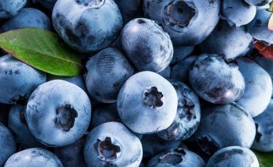 Berries, fruits, blueberries