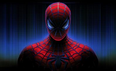 Spider-man, protector of world, superhero