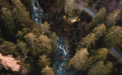 Aerial view, forest, water stream, river