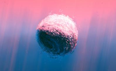 Fishes ball, underwater, art