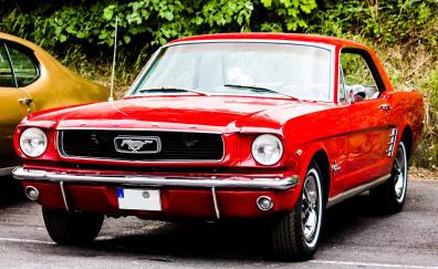 Red muscle car, Ford mustang