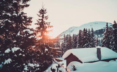 Cabin, winter, snowfall, tree and mountains, sunrise