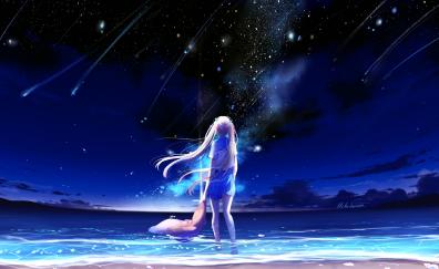 Anime girl, outdoor, night, starfall