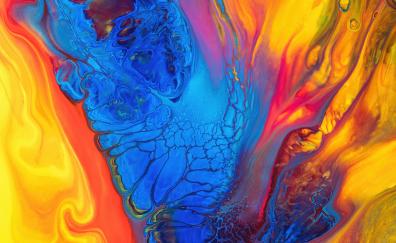 Multi-colored texture, abstraction, fluid like artwork