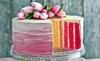 Colorful cake, baking, dessert