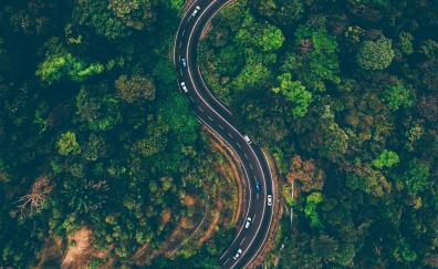 Road, highway, nature, trees, aerial view