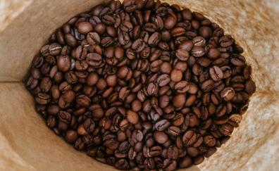 Beans, roasted coffee, coffee beans