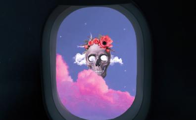 Skull from flight window, art